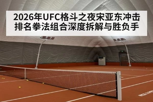 2026年UFC格斗之夜宋亚东冲击排名拳法组合深度拆解与胜负手