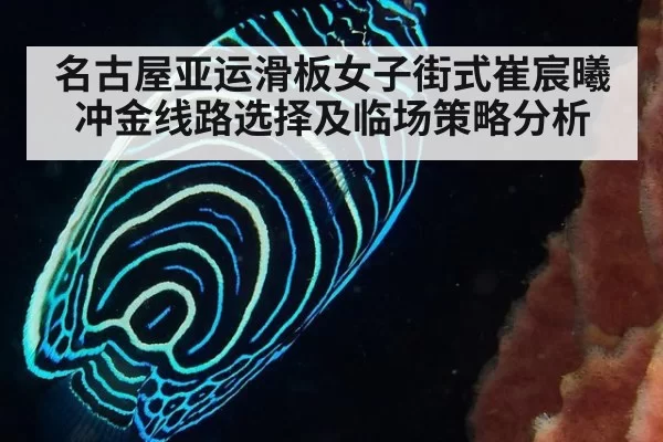 名古屋亚运滑板女子街式崔宸曦冲金线路选择及临场策略分析